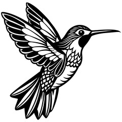 hamingbird Vector design 