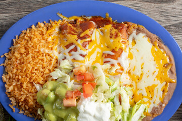 A top down view of a plate of enchiladas.