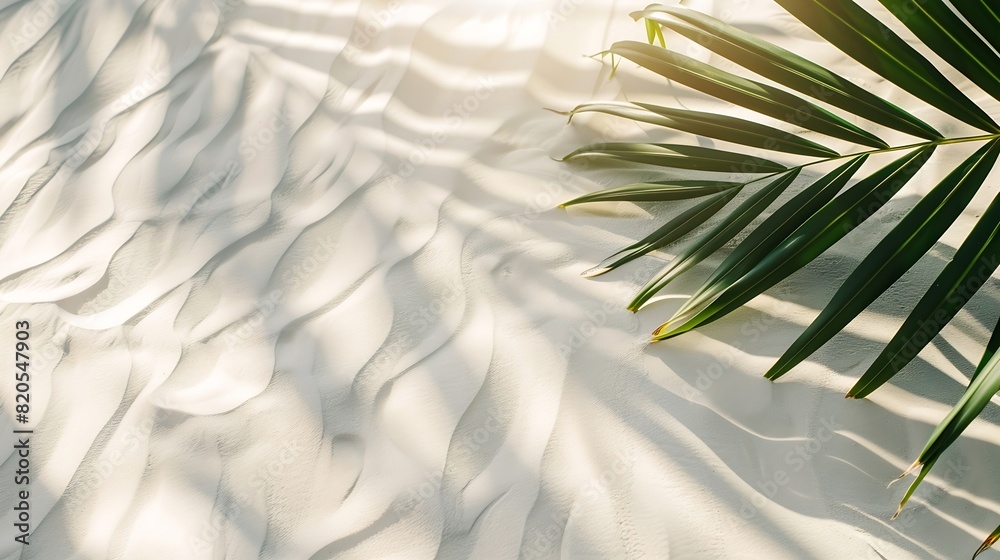 Aufkleber palm leaf shadow on abstract white sand beach background sun lights on water surface beautiful abstr