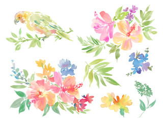A set of vector illustrations of abstract hibiscus, tropical plants, and parrots painted in watercolor