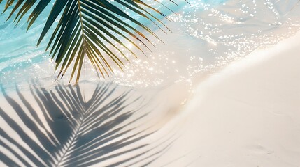 palm leaf shadow on abstract white sand beach background sun lights on water surface beautiful abstract background concept banner for summer vacation at the beach : Generative AI
