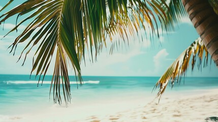Palm and tropical beach : Generative AI