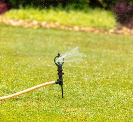 Watering a green lawn with a hose