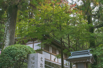 A shrine that enshrines the mountain where Japan's gods dwell for generations【Omiwa Jinja Shrine】