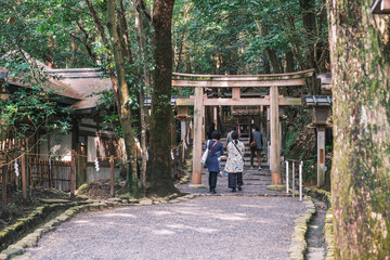 A shrine that enshrines the mountain where Japan's gods dwell for generations【Omiwa Jinja Shrine】