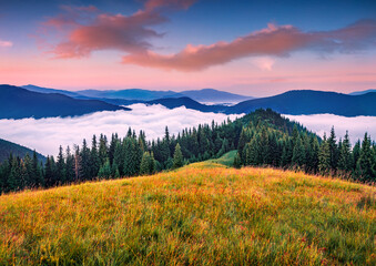 Fantastic summer sunrise in Carpathian mountains with a sea of fog in the walley. Wonderful morning...