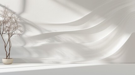 Minimalist Interior with Sunlit Shadows