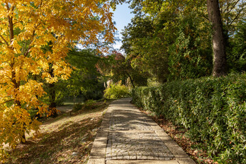 Path or road in Atatürk Arboretum, a beautiful view among the greenery