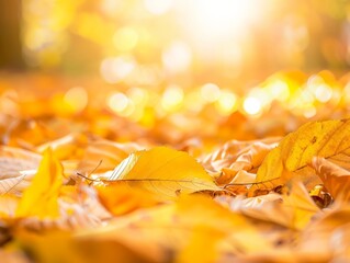 Golden Carpet: A Stunning Background of Fallen Autumn Leaves
