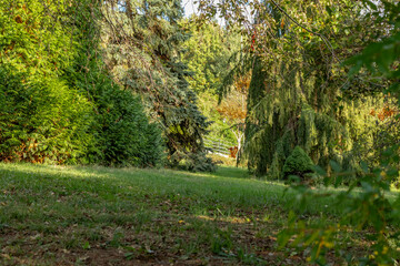 Atatürk Arboretum is a magnificent park where nature shows itself in all its colours