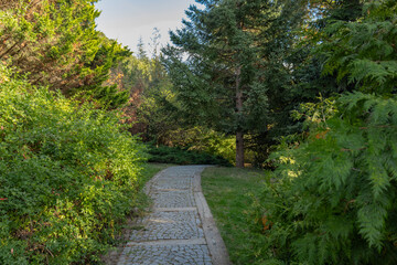 Path or road in Atatürk Arboretum, a beautiful view among the greenery