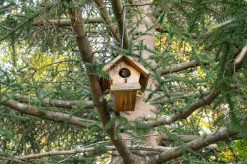 A bird's nest hanging on a tree branch in Atatürk Arboretum.