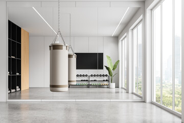 Modern gym interior with punching bags, dumbbells, and a potted plant against a white background,...