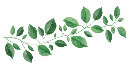 Tree branch with long green leaves. Hand-drawn twig