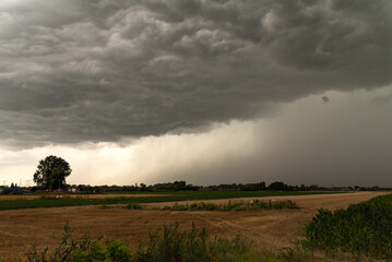 storm over the field with heavy rain and rainshower 