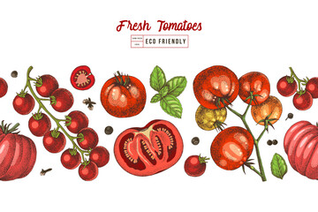 Tomatoes colorful seamless vector border