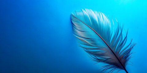 Feather on Blue Background with Copy Space. Perfect for: Minimalist Designs, Nature Themes, Artistic Concepts, web design, digital art, posters, social media graphics, presentation backgrounds.