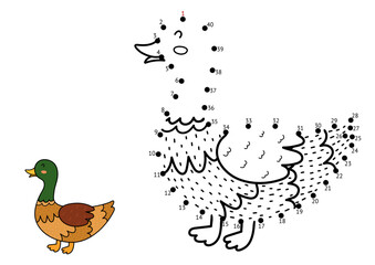Dot to dot game for kids. Connect the dots and draw a cute duck. Farm animal puzzle activity page with a funny chicken. Vector illustration
