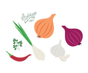 Set of spices for cooking onion garlic chili pepper. Vector of fresh organic vegetables