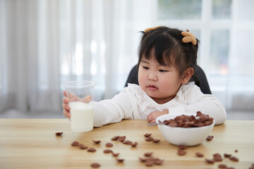 chubby child girl enjoy eating chocolate cereal and drinking milk on the table
