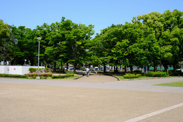 Obraz premium 新緑のアーチ