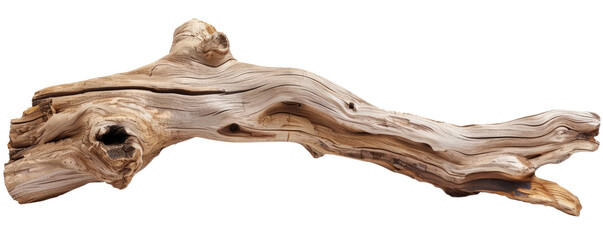 driftwood log isolated on white or transparent png