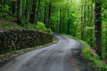 Curved Asphalt Road Between Rock Wall and Trees

