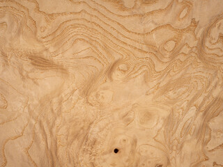 Ash root veneer displaying intricate grain patterns and natural wood beauty