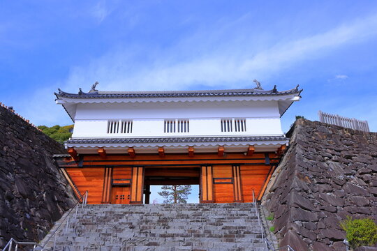  Maizuru Castle Park with cherry blossoms at Marunouchi, Kofu, Yamanashi, Japan