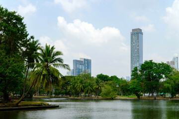 Fototapeta premium Beautiful lake in a park with palm trees against the background of skyscrapers