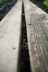 Holzweg - Garten 