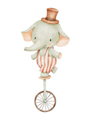 Watercolor cute baby circus elephant on wheel. Funny animal on retro bike in vintage costume. Hand drawn isolated illustration for kids © Elena