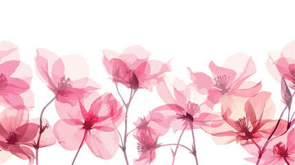 Beautiful pink flowers on white background Vector illustration