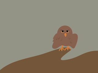 flat design owl vector illustration