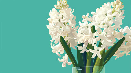 Beautiful white hyacinth flowers in vase on turquoise