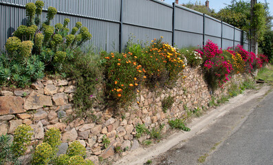 Plantation de fleurs les longs des routes en Bretagne