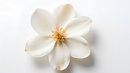 Beautiful flowers bring back memories.