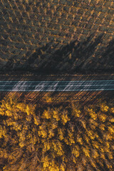 Straight asphalt highway road through wooded landscape in autumn, aerial shot from drone pov