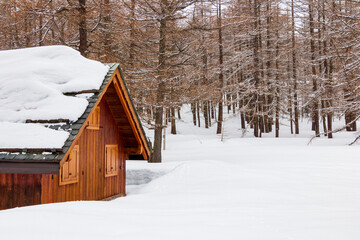 wooden cottage immersed in the forest covered in snow