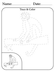 Monkey Printable Activity Page for Kids. Educational Resources for School for Kids. Kids Activity Worksheet. Trace and Color the Shape
