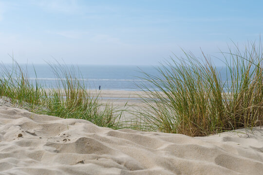 A serene sand beach adorned with patches of grass and gentle sand dunes bathed in the soft light of the sun, creating a peaceful and tranquil scene.