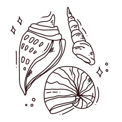 hand drawn vector illustration of shells
