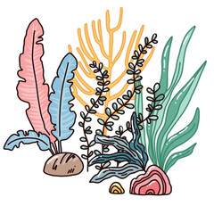 hand drawn vector illustration of seaweed