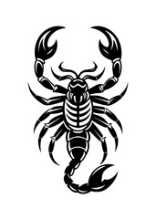 scorpion tattoo vector