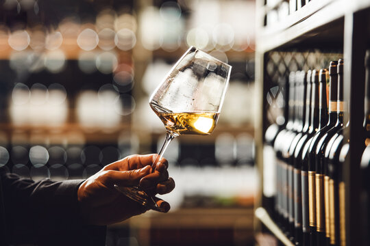 Close-Up of Professional Sommelier Evaluating White Wine Standing in Cellar