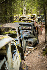 A row of rotten and rusty classic combustion car vehicles in a forest