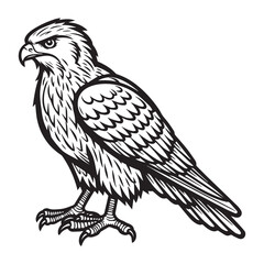 Fototapeta premium line art of hawk cartoon vector