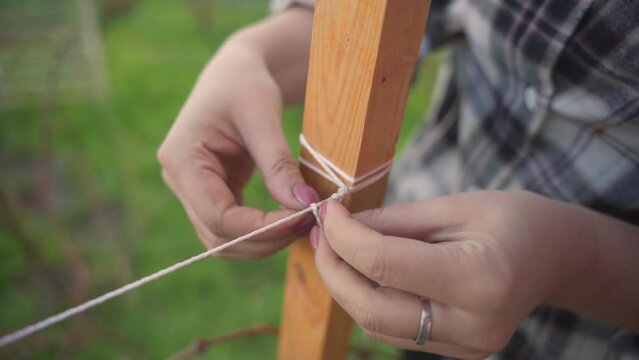 a woman ties ropes around a frame for a grape bush.