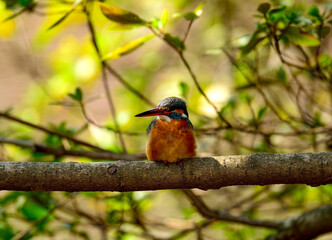 少し疲れたからここで小休止