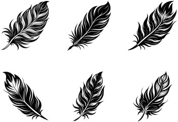 set of feathers vector